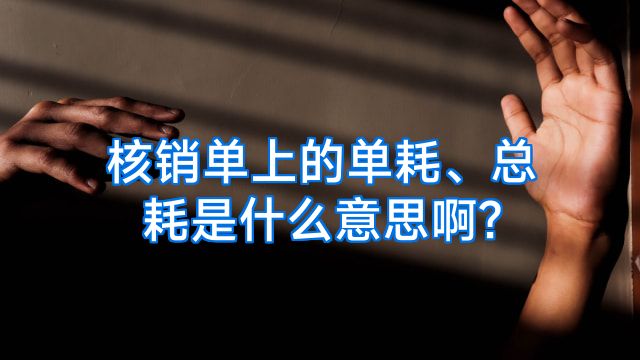 核销单上的单耗、总耗是什么意思啊?