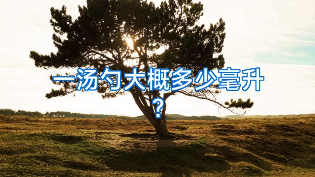 一汤勺大概多少毫升?