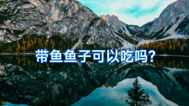 带鱼鱼子可以吃吗?