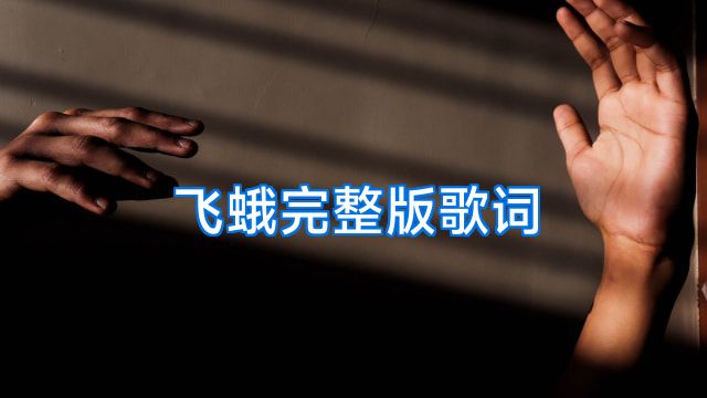 飞蛾完整版歌词