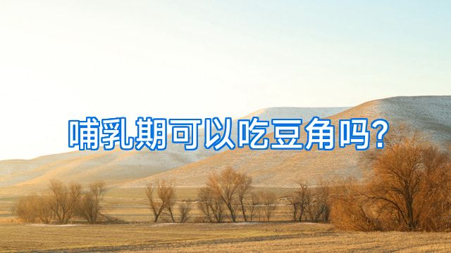 哺乳期可以吃豆角吗?