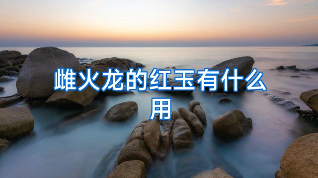 雌火龙的红玉有什么用