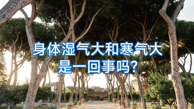 身体湿气大和寒气大是一回事吗?