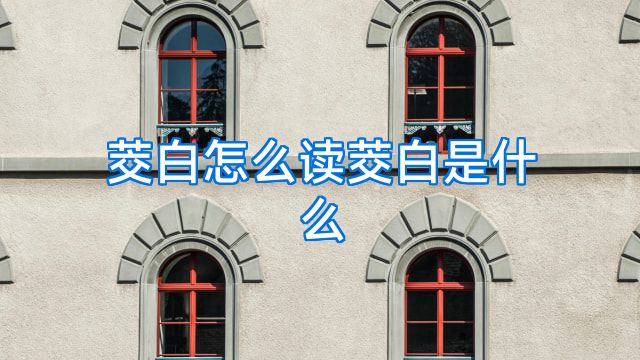 茭白怎么读茭白是什么