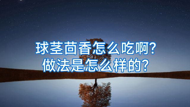 球茎茴香怎么吃啊?做法是怎么样的?
