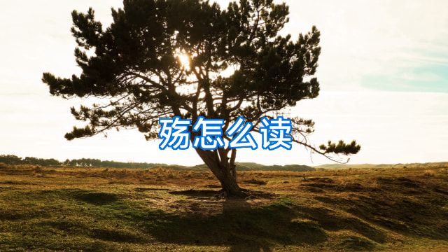 殇怎么读