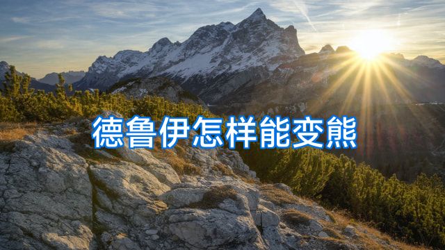 德鲁伊怎样能变熊