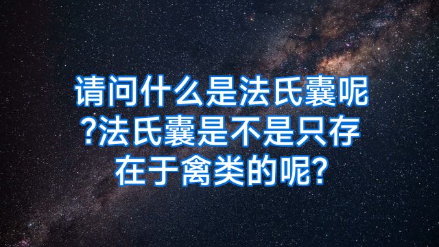 请问什么是法氏囊呢?法氏囊是不是只存在于禽类的呢?