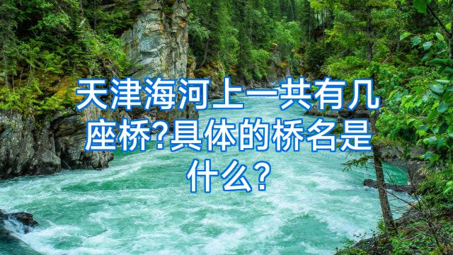 天津海河上一共有几座桥?具体的桥名是什么?
