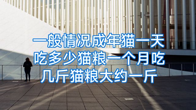 一般情况成年猫一天吃多少猫粮一个月吃几斤猫粮大约一斤