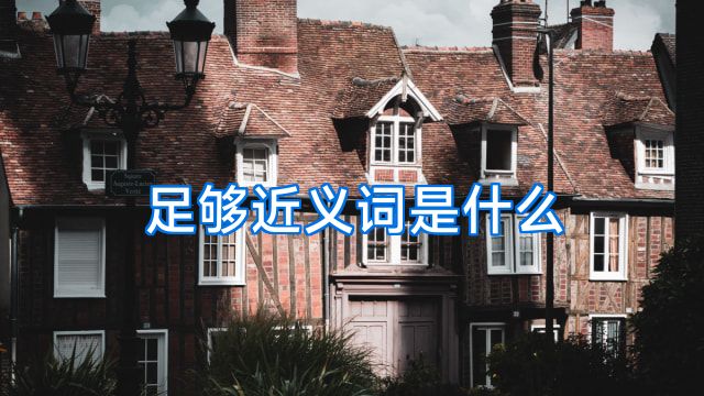 足够近义词是什么