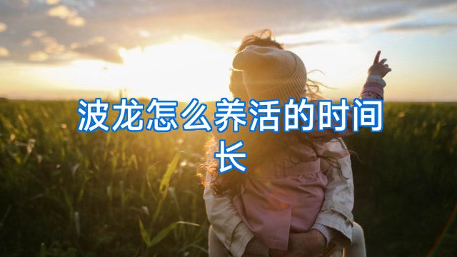 波龙怎么养活的时间长