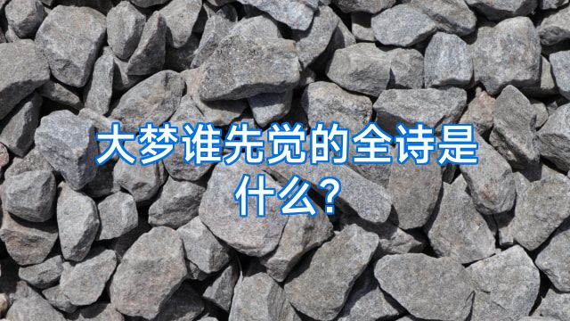 大梦谁先觉的全诗是什么?