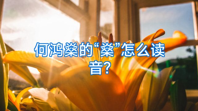 何鸿燊的“燊”怎么读音?