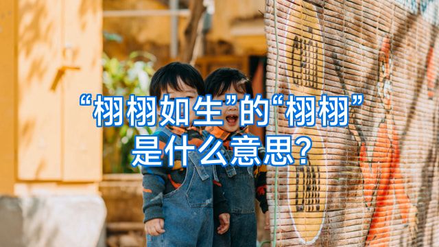 “栩栩如生”的“栩栩”是什么意思?