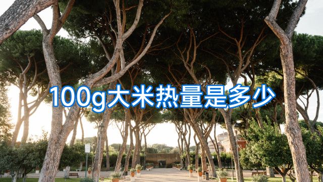 100g大米热量是多少