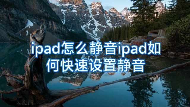 ipad怎么静音ipad如何快速设置静音