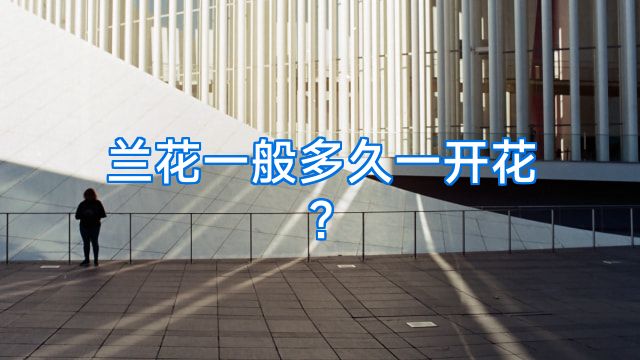 兰花一般多久一开花?