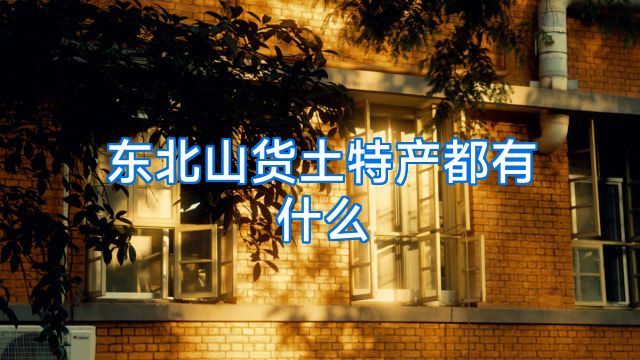 东北山货土特产都有什么