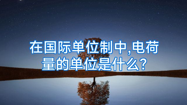在国际单位制中,电荷量的单位是什么?