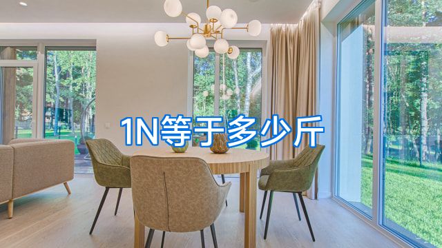 1N等于多少斤