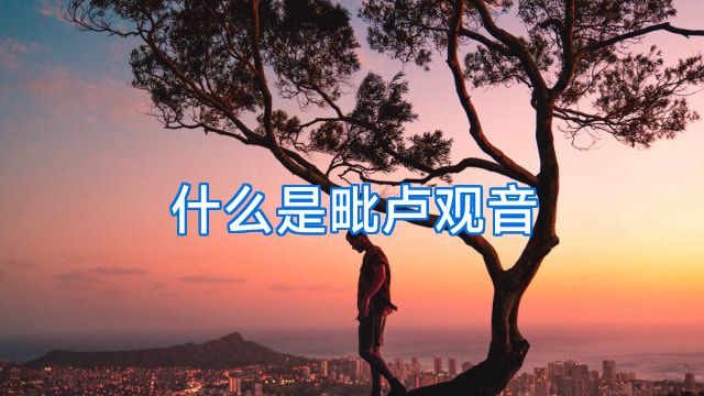 什么是毗卢观音