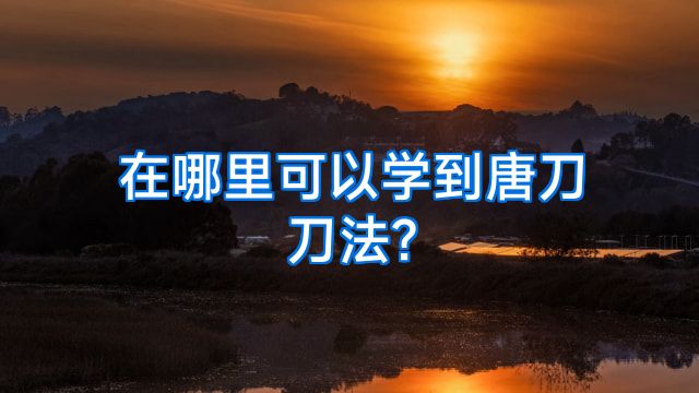 在哪里可以学到唐刀刀法?
