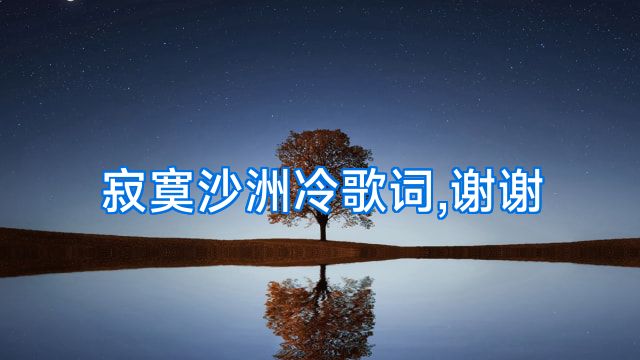 寂寞沙洲冷歌词,谢谢
