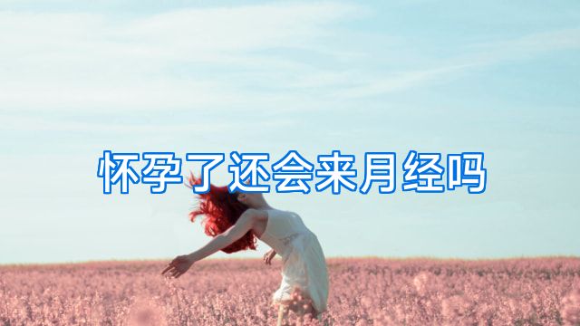 怀孕了还会来月经吗