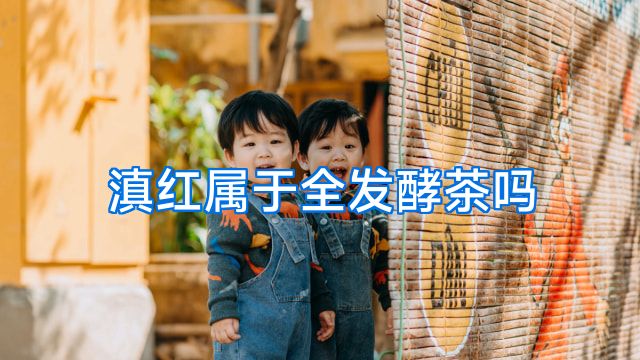 滇红属于全发酵茶吗