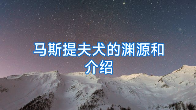 马斯提夫犬的渊源和介绍