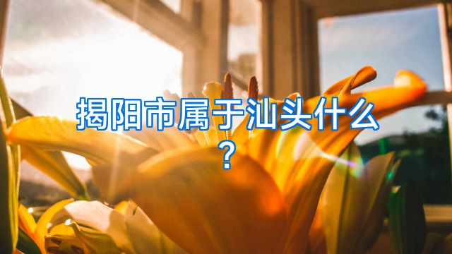 揭阳市属于汕头什么?