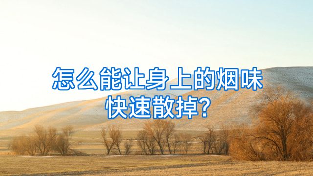 怎么能让身上的烟味快速散掉?