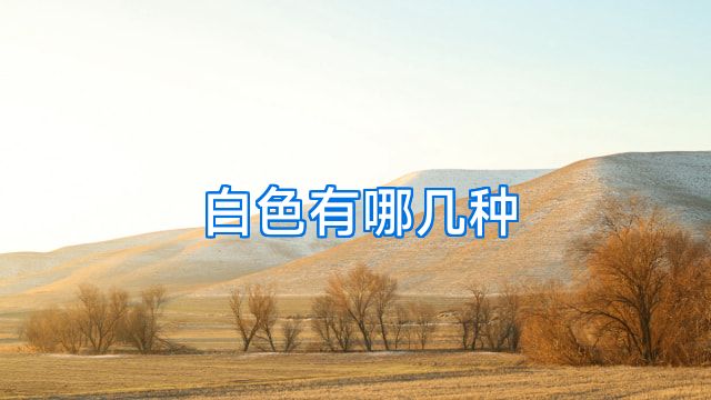 白色有哪几种