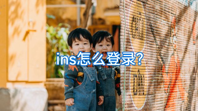 ins怎么登录?