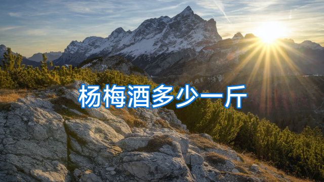 杨梅酒多少一斤