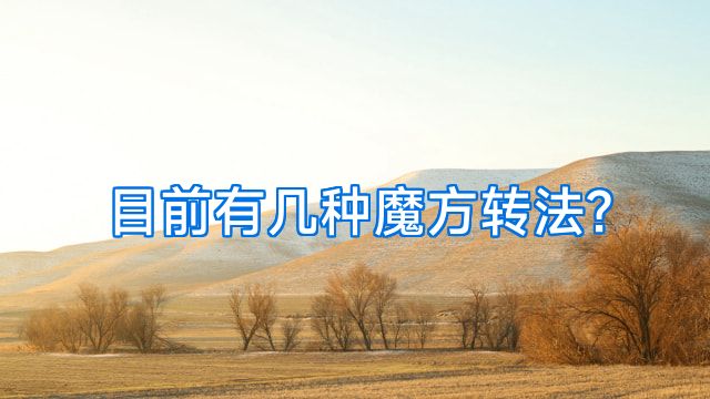 目前有几种魔方转法?