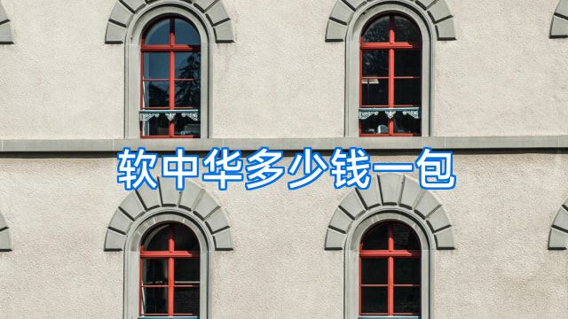 软中华多少钱一包