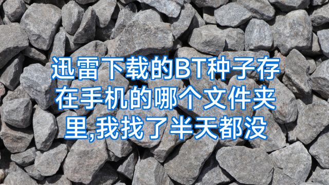 迅雷下载的BT种子存在手机的哪个文件夹里,我找了半天都没