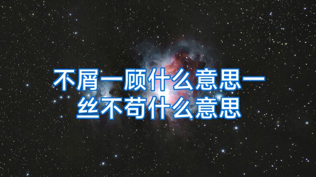 不屑一顾什么意思一丝不苟什么意思