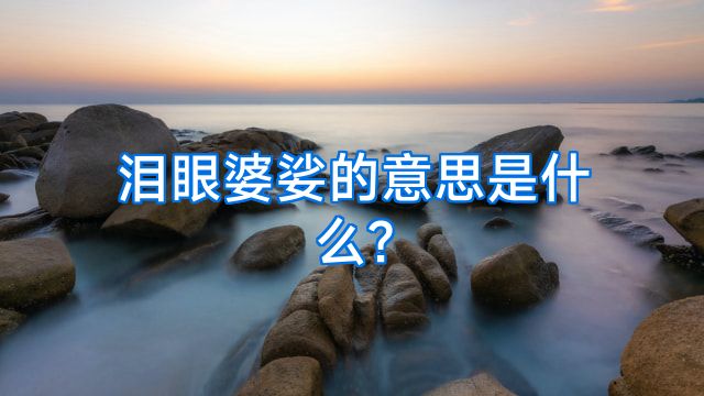 泪眼婆娑的意思是什么?