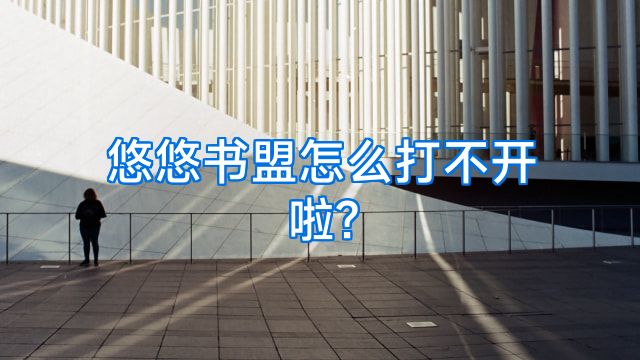 悠悠书盟怎么打不开啦?