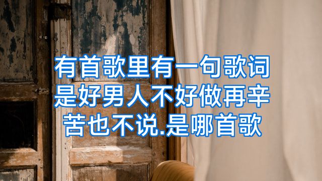 有首歌里有一句歌词是好男人不好做再辛苦也不说.是哪首歌