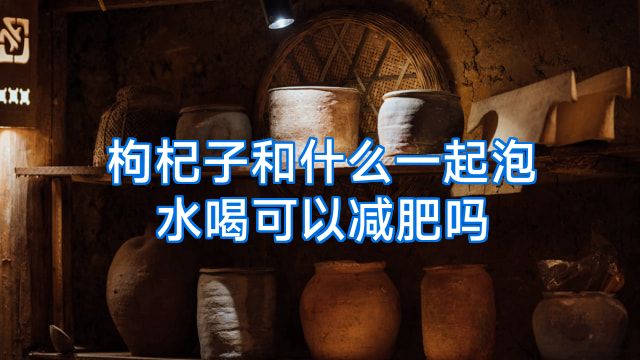 枸杞子和什么一起泡水喝可以减肥吗
