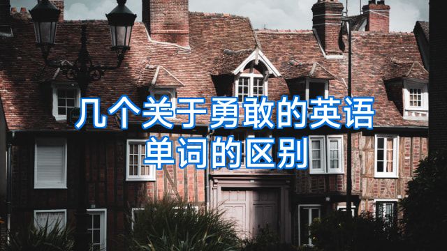 几个关于勇敢的英语单词的区别