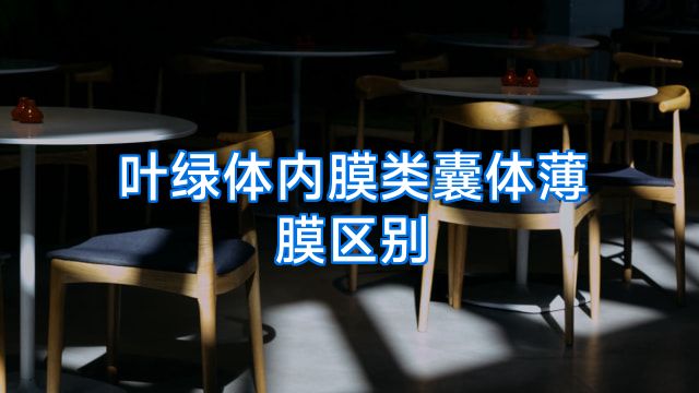 叶绿体内膜类囊体薄膜区别