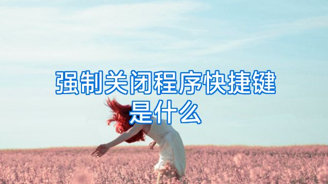 强制关闭程序快捷键是什么