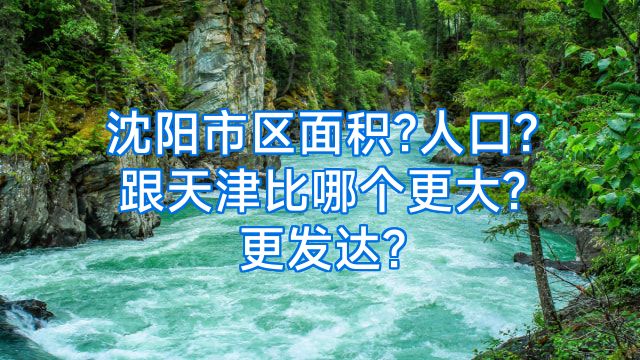 沈阳市区面积?人口?跟天津比哪个更大?更发达?