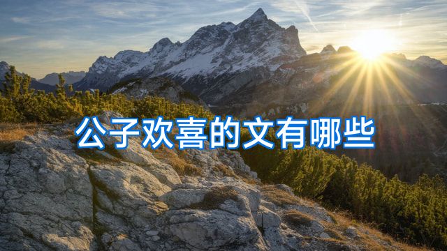 公子欢喜的文有哪些
