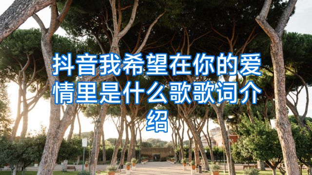 抖音我希望在你的爱情里是什么歌歌词介绍